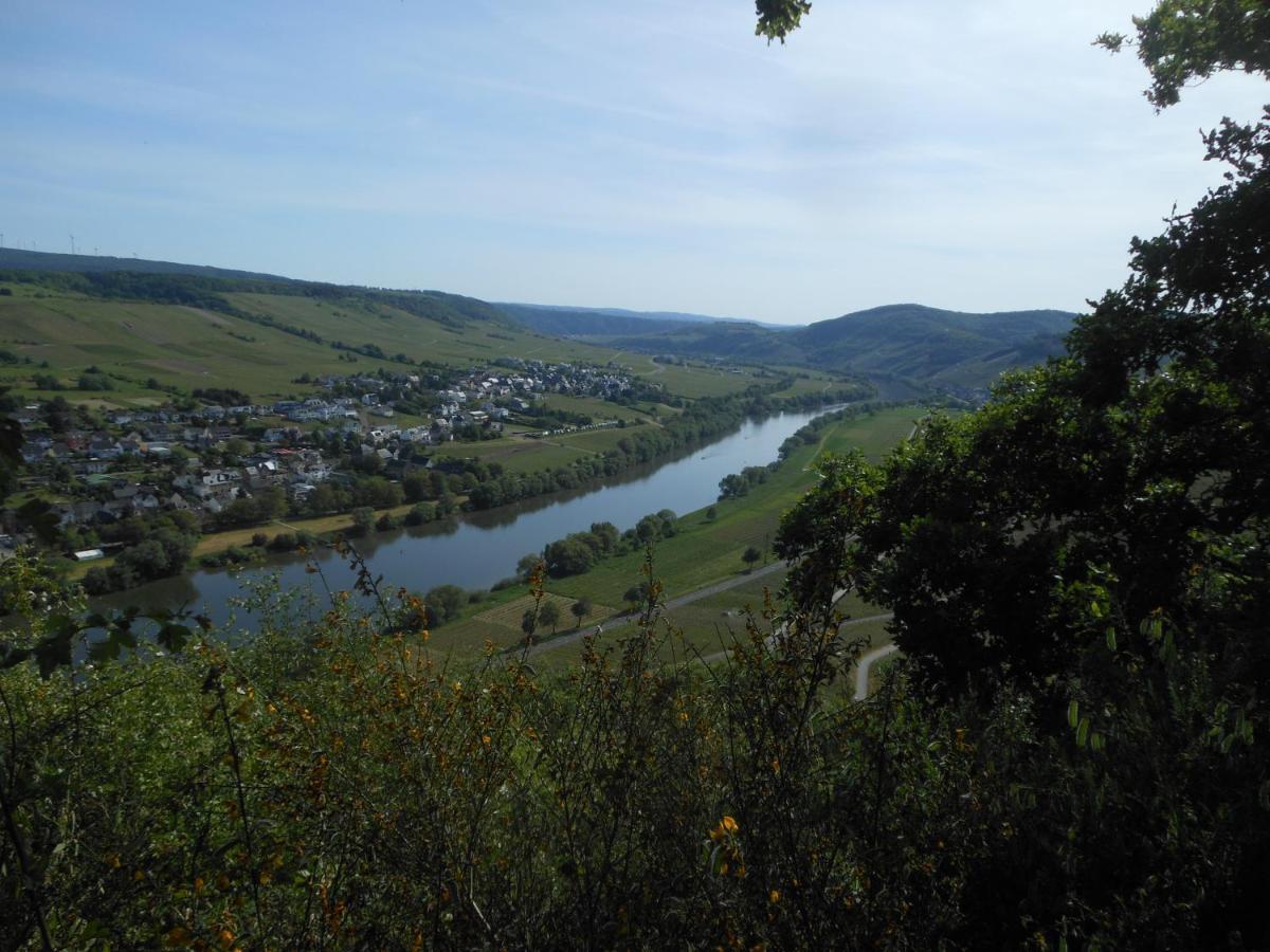 Ferienhaus Mosel Villa Brauneberg Ngoại thất bức ảnh