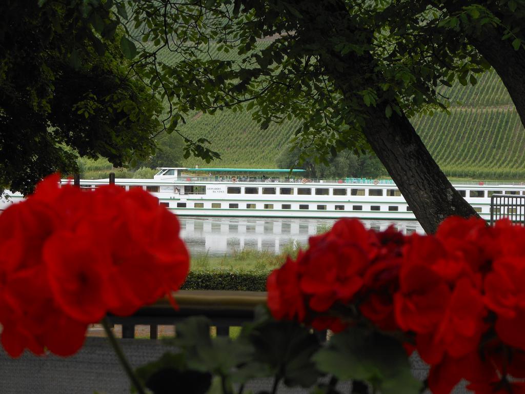 Ferienhaus Mosel Villa Brauneberg Ngoại thất bức ảnh